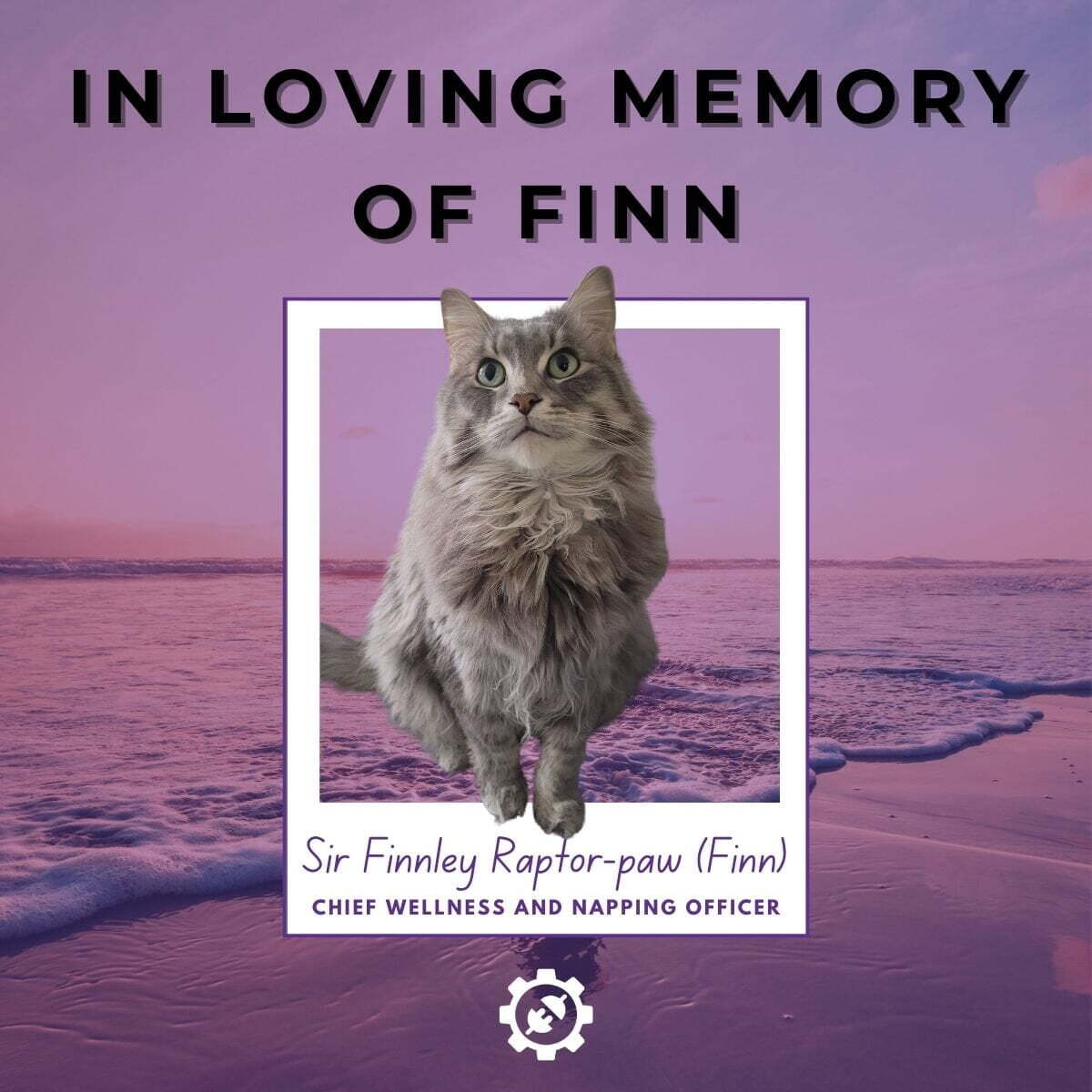 In Loving Memory of Sir Finnley Raptor-paw (Finn) from Bauer Automate